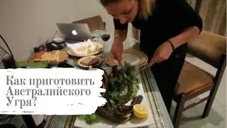 Как приготовить угря? Австралия.