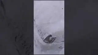 Снегопад на Сахалине объявлен чс(2)