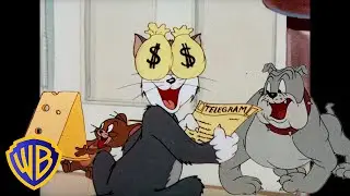 Tom y Jerry en Español 🇪🇸 | ¡La suerte está echada! 🍀 | Día de San Patricio | 