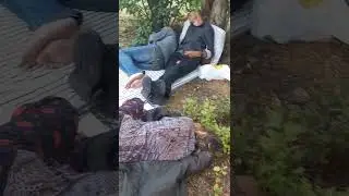 Сообразить на троих это так #shorts #природа #бомж #улица