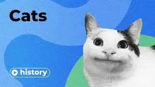 The History of Cats in 10 Minutes
