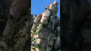 Why you NEED to go to Animal Kingdom in Disney World (Avatar)