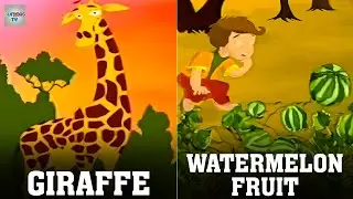 Giraffe | WaterMelon Fruit | English Nursery Rhymes | Animated Nursery Rhymes | Juniors TV