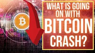 WHAT IS GOING ON WITH BITCOIN PRICE?
