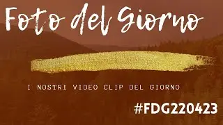Foto del Giorno del 22 aprile 2023 fdg220423