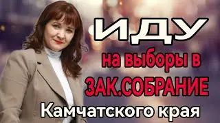 Поданы документы для участия в выборах