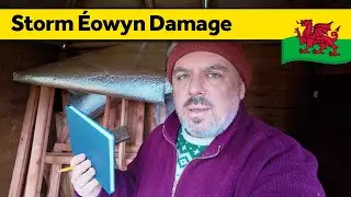 197. Storm Éowyn Damage - Living Alone in Wales