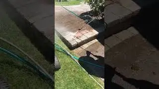 paver restoration