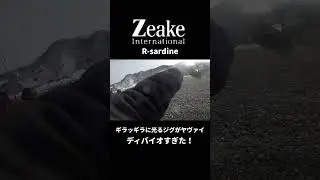 【zeake】R-sardine30g