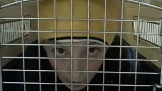 Fall Out Boy - I Dont Care Official Music Video
