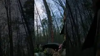 The one that (almost) got away