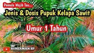 Wajib Tau || Jenis Dan Dosis Pupuk Kelapa Sawit Umur 1 Tahun