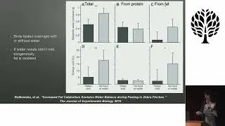Metabolic Water: Excerpt from  Blood, sweat, and tears how much salt do we really need? AHS22