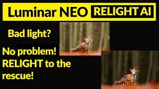 Skylum Luminar Neo. Tips on using relight AI tool.