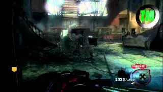 Black Ops 1 Platin Trophy Lobby + Zombie Mods