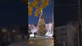 Вечерний Краснодар, первый снег декабрь 2023 г.