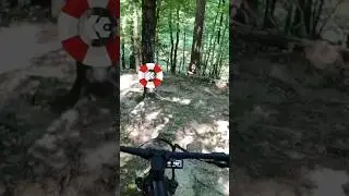 TREE HUGGER - Cliff Hanger MTB Trail at Wildwood #mtb