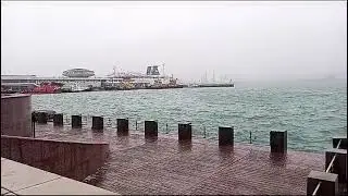 23 января 2024 г.