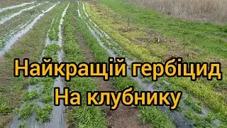 Гербіцид на клубнику, Еко гербіцид
