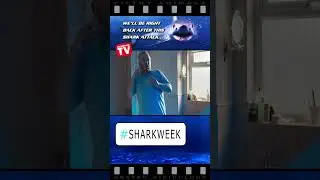Plumber Shocked to Find Shark in Woman’s Bathroom