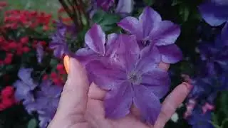 14 июля 2024 г.