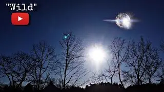 Wild (Music By Spoon)