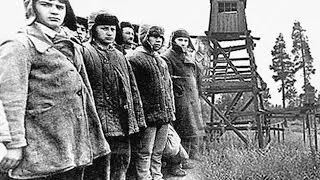 КТО ОСТАНОВИЛ РЕПРЕССИИ 1937-1938 года.
