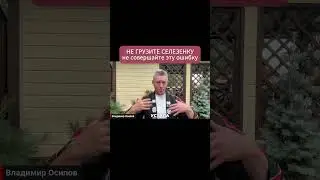 Не грузите селезенку