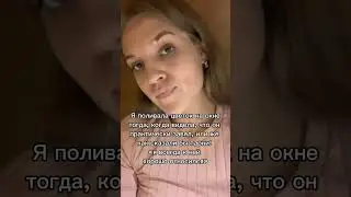 #юмор