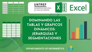 DOMINANDO TABLAS Y GRAFICOS DINAMICOS: JERARQUIAS Y SEGMENTACIONES.