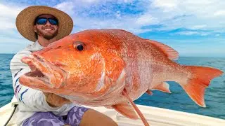 24 Hours for the ENTIRE Fishing Season? (South Atlantic Red Snapper)