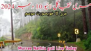 murree live today | #murree snowfall update | Nathia gali today | murree weather #2024