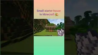Starter House in minecraft #shorts
