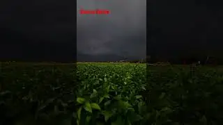 Así se ve una tormenta en el campo #reels