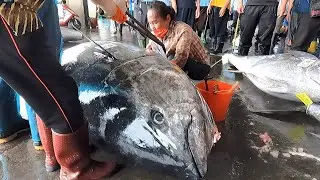 900-Pound Giant Bluefin Tuna - Masterful Cutting Technique Revealed!