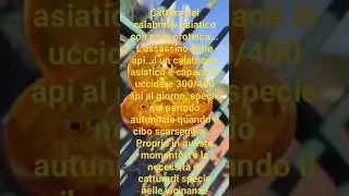 #viralreelsシ #viralreelsシ #viralvideoシ #viralvideoシ #viralreelsシ #viralreelsシ #agriculture #api