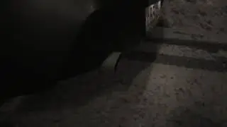 F20 118 exhaust sound