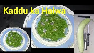 kaddu ka Halwa/lauki ka halwa/kaddu ka meetha#viral #trending #deliciousfood #halwa