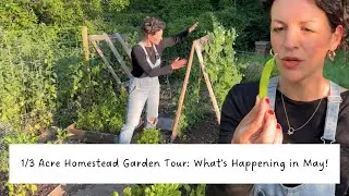 1/3 ACRE GARDEN TOUR! 🌱Ducks, Slugs, And Repurposing On Our English Homestead - See What's Growing!