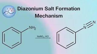 Diazonium Salt Formation Mechanism | Organic Chemistry