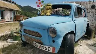 СНОВА ПЕРЕЕЗД 😱  ЕНОТЫ СИЗАЯ ФЕРМА ЕНОТОВ ХАКАСИЯ Hand raccoon at home