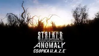 S.T.A.L.K.E.R.: Anomaly Сборка H.A.Z.E