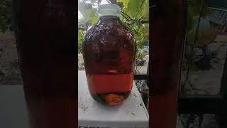 двухлетний бурбон из 50л бочки