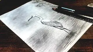 How to draw a goose duck 🦆 bird drawing in water scenery by pencil