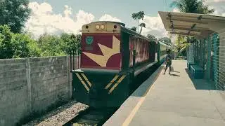 Testa de Ferro - O Trem de Alagoas