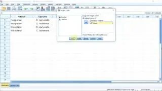 Chi-squared test for association with SPSS