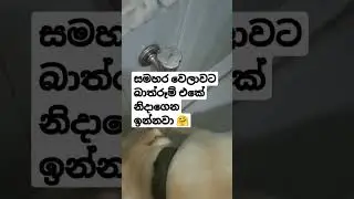 අමුතු කෝලම් කියලා හිතුවට ඒ උන්ගේ හැටි#youtubeshorts #trendingshorts #animals