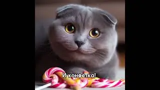 БОЛЬШАЯ ПРОСЬБА НЕ ВОРОВАТЬ ВИДЕО!!!Всем спасибо❤Котик Бантик.Идею взяла у @Masyane4ka❤