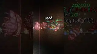 How to Make Money FAST in Endgame Terraria! 