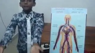 CIRCULATORY SYSTEM PROJECT | HOW TO MAKE CIRCULATORY SYSTEM PROJECT MODEL | KIDS SCIENCE PROJECT